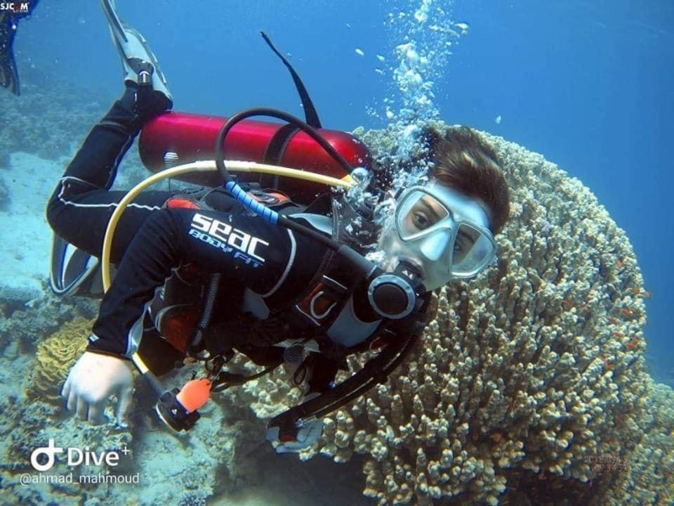 Al-Amer Chalets Aqaba Eksteriør billede